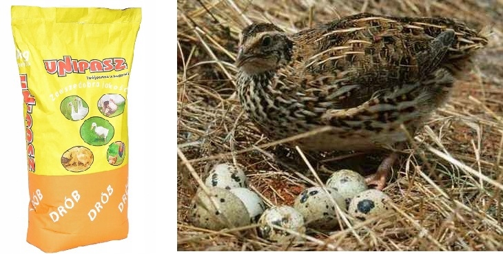 Karma Unipasz PRZEPIÓRKA nioska pasza kruszonka Marka Unipasz