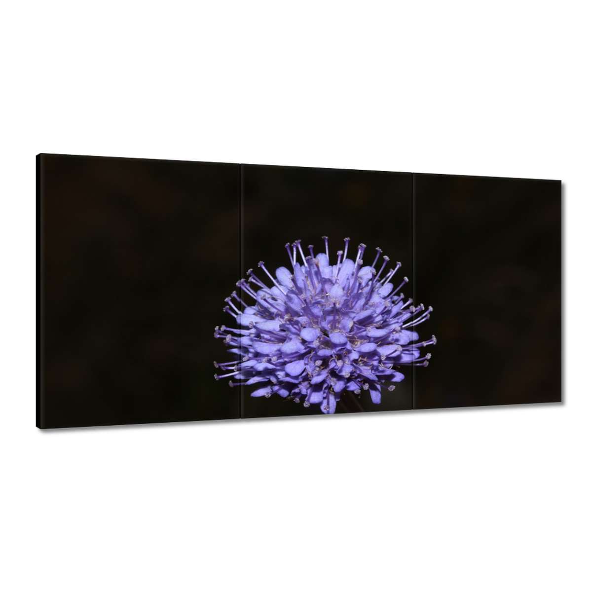 Obrazy 180x90 Deň žien Darčeková láska