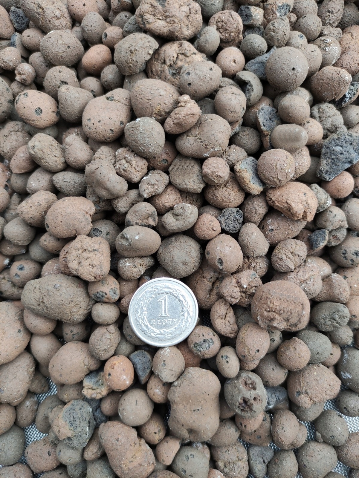 

Keramzyt ogrodniczy ceramiczny Naturalny 1 Litr
