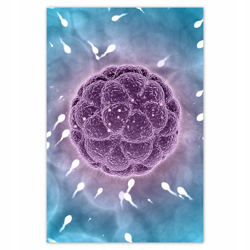 

Plakat 62x93 Nie zostawaj w tyle