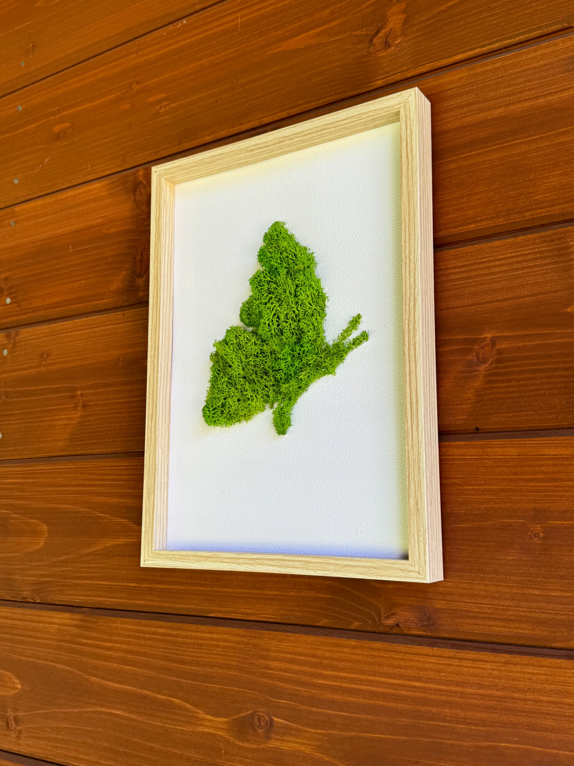 OBRAZ MECH CHROBOTEK MOTYL MOTYLEK PREZENT Kolor zielony