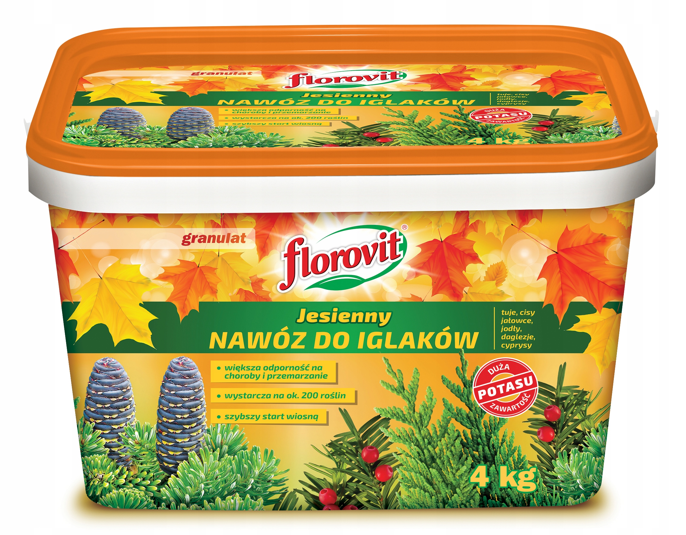 

Florovit Nawóz Jesienny Do Iglaków 4KG Tuja Cis