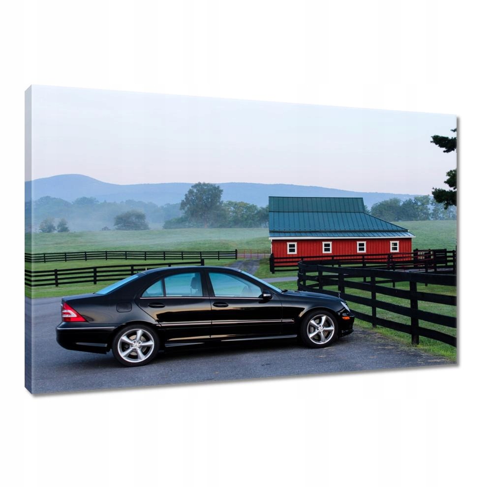 

Obrazy 90x60 Mercedes