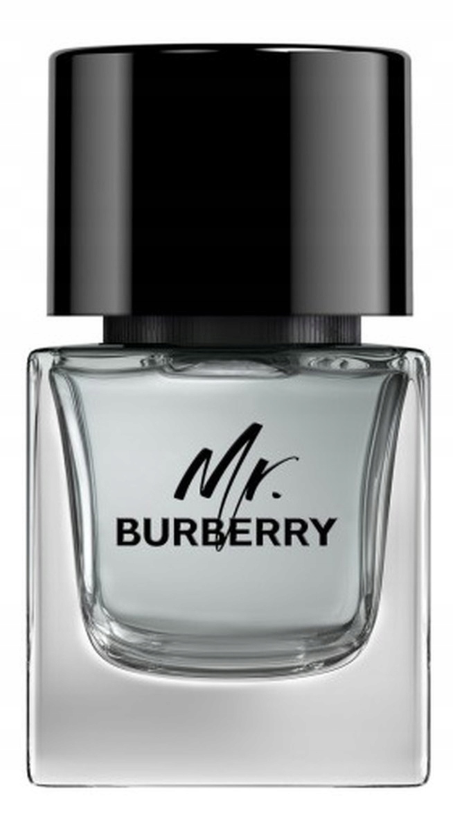 Burberry Mr. Burberry Toaletní voda sprej 50 ml