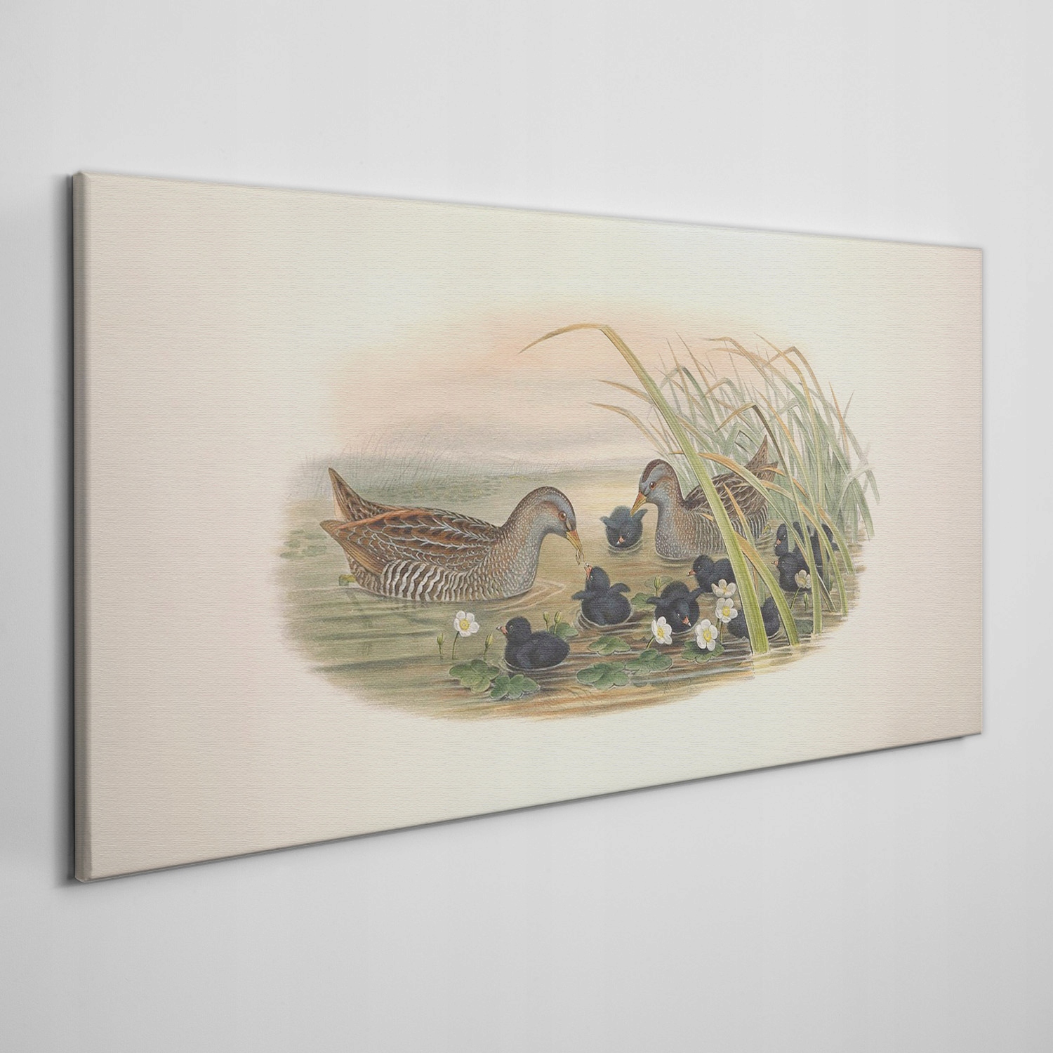 

Obraz na płótnie Ptaki zwierzęta rysunek 140x70 cm