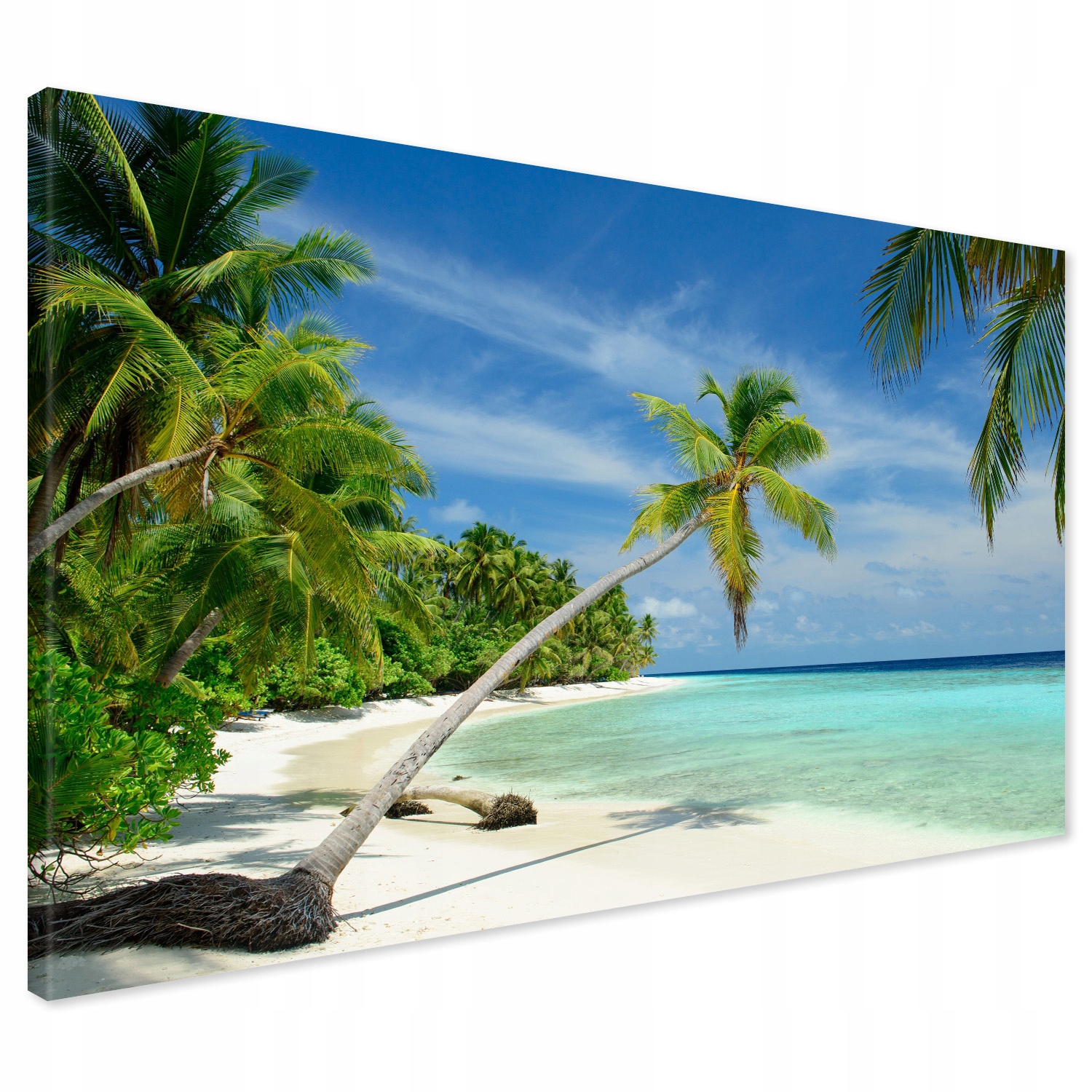 

Obraz na płótnie Malediwy plaża palmy 120x80