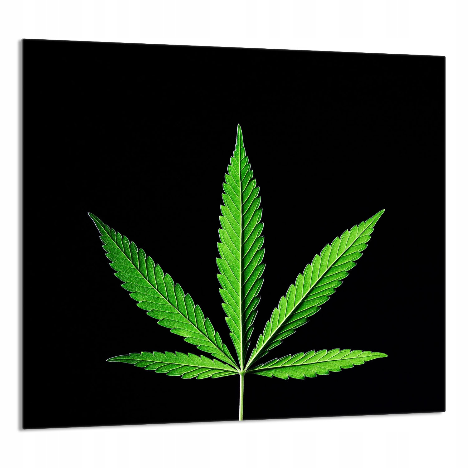 Skleněný Panel Do Kuchyně 65x60 List Tvrzené Sklo