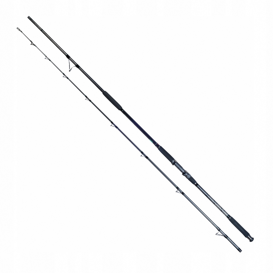 Robinson Wędka Siluro Spin Carfish Cast 3,3m/100-350g