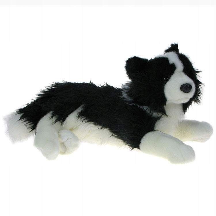 

Zoo: maskotka Pies border collie 33cm (23415)