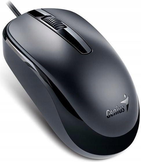 Mysz Genius DX120 (31010105106)