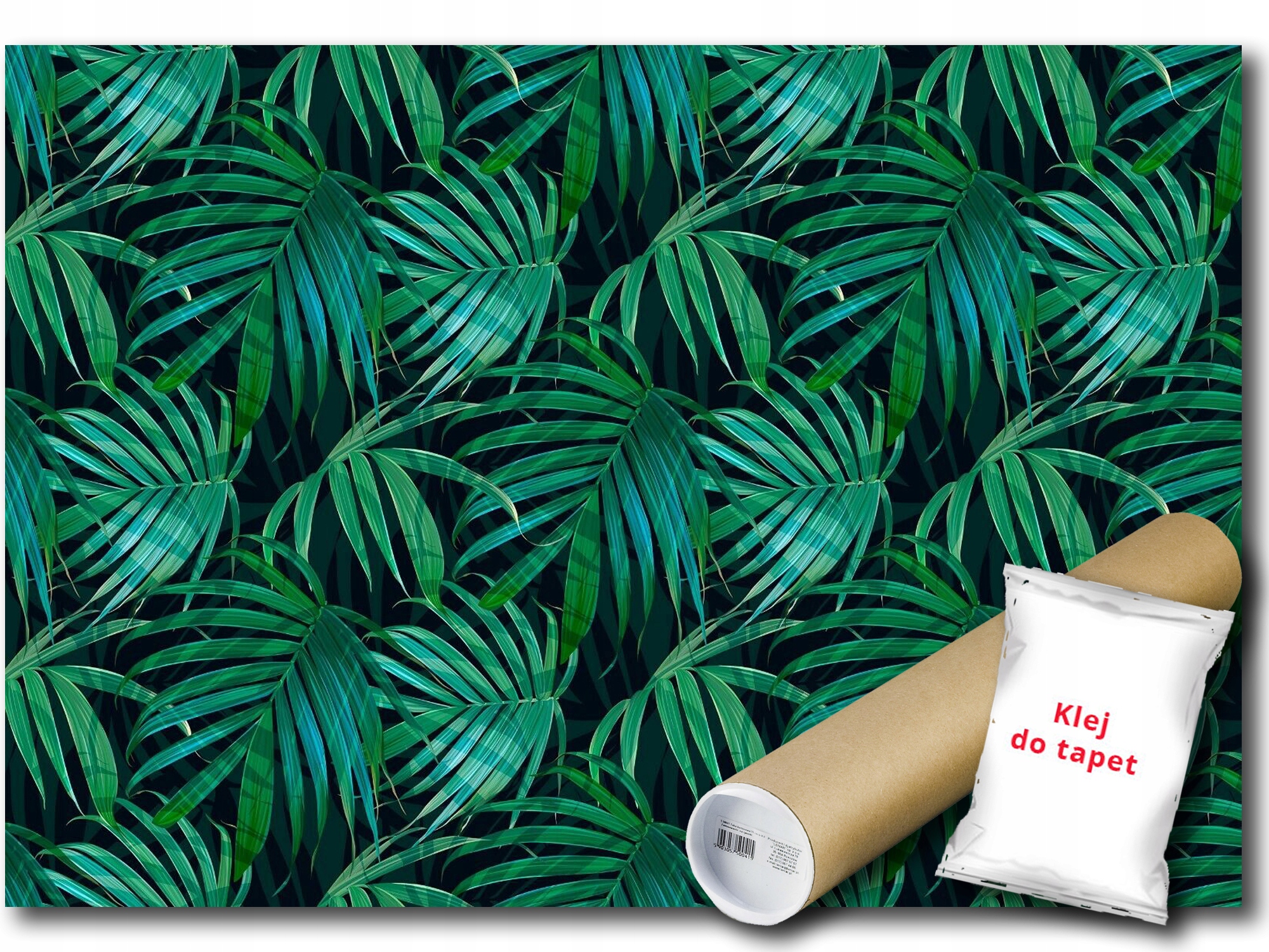 Fototapeta Vinylová Listy Palma Rastliny 208x146