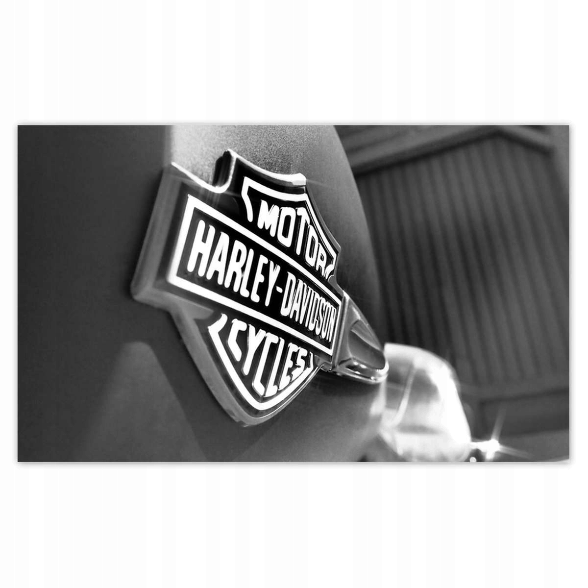 Fototapety 520x318 Logo Harley Davidson