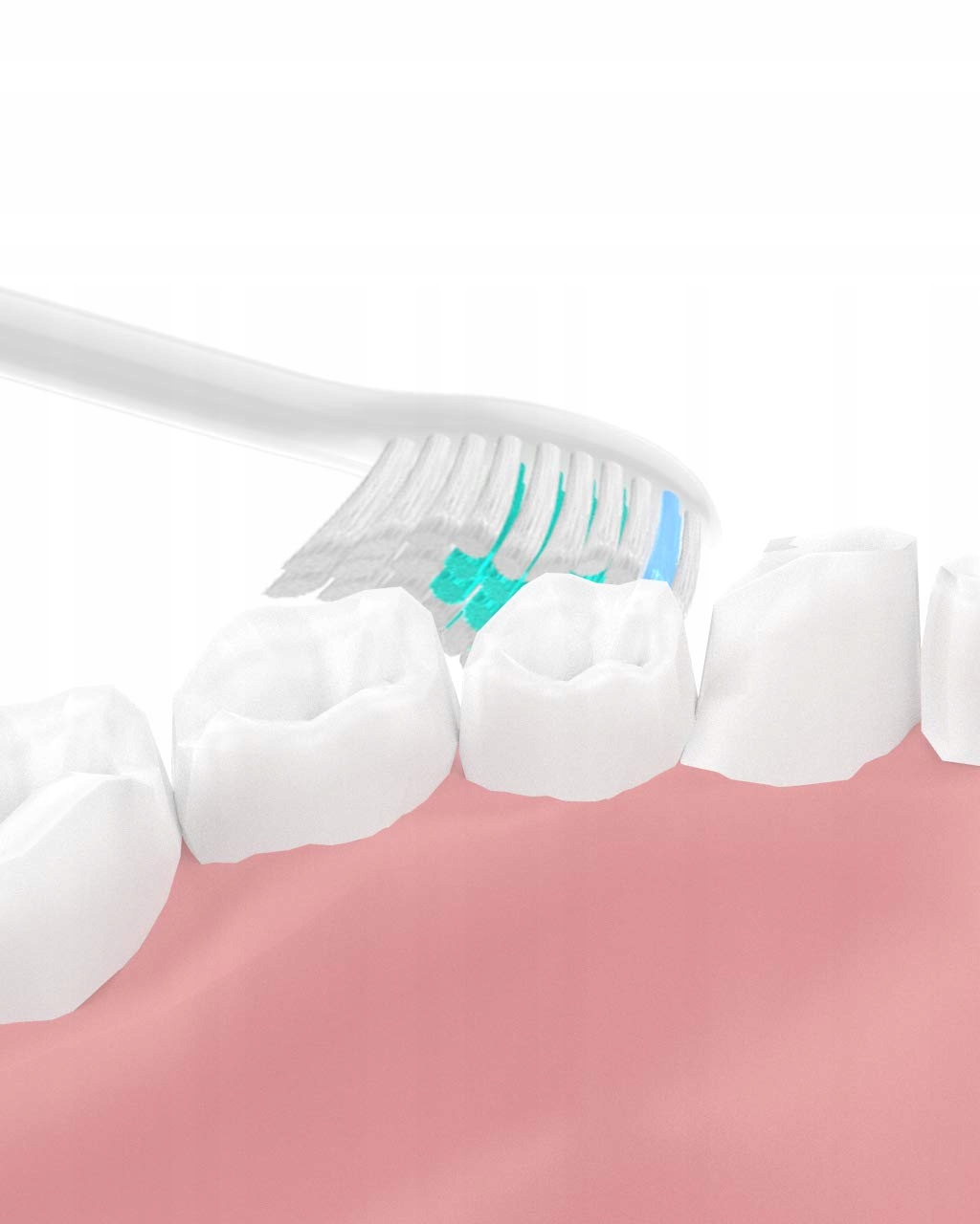 YANBAN Zestaw 4 Głowic Szczoteczek Do Essence Elite Xtreme — miniatura 8