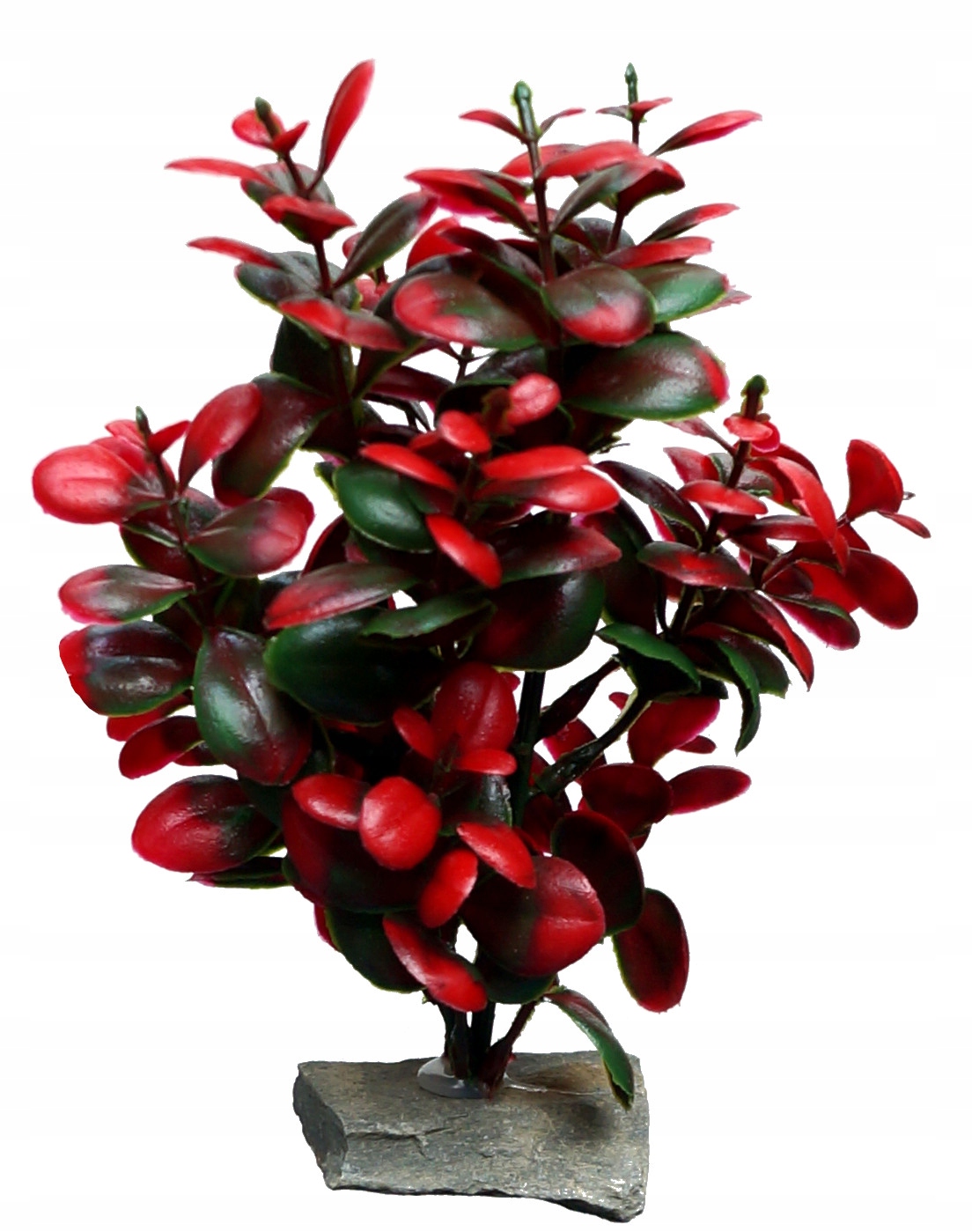 

roślinka sztuczna do akwarium akwariowa wys 19cm