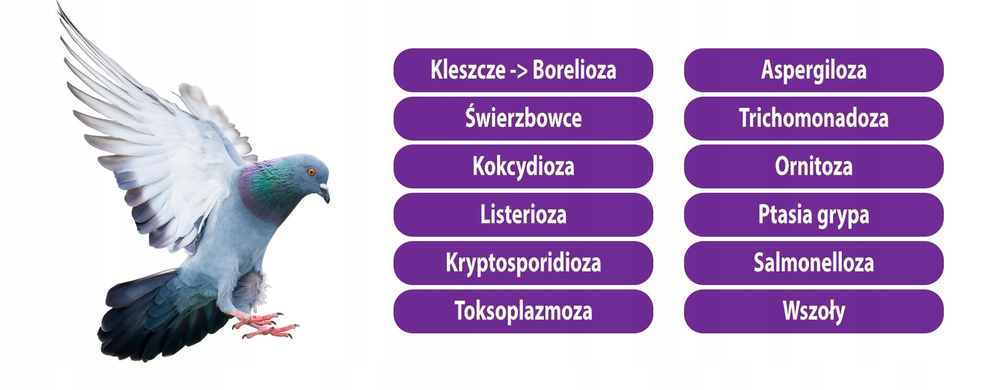 ŚRODEK DO USUWANIA PTASICH ODCHODÓW PREPARAT 750ml Rodzaj płyn
