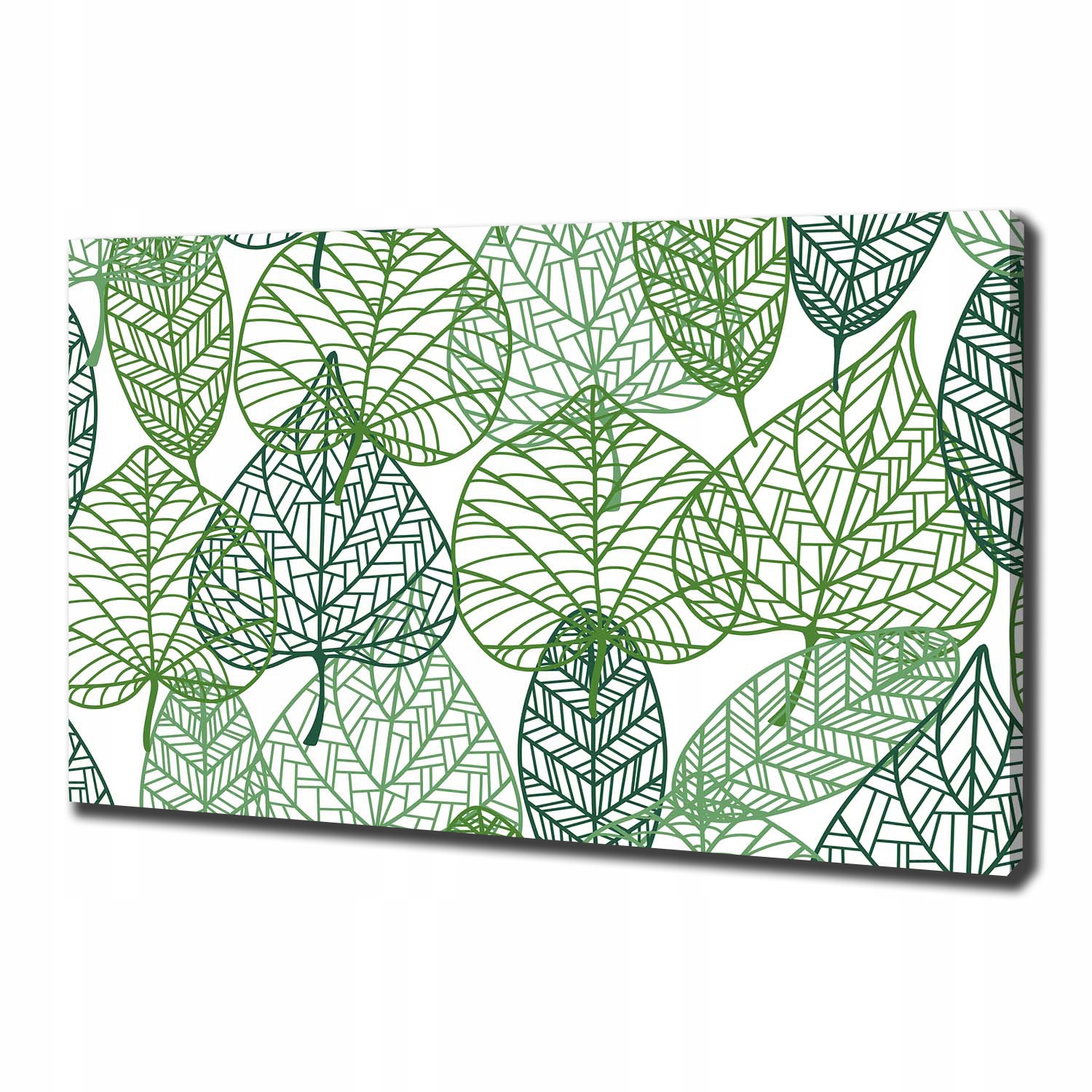 

Foto obraz na płótnie Zielone liście wzór 100x70cm