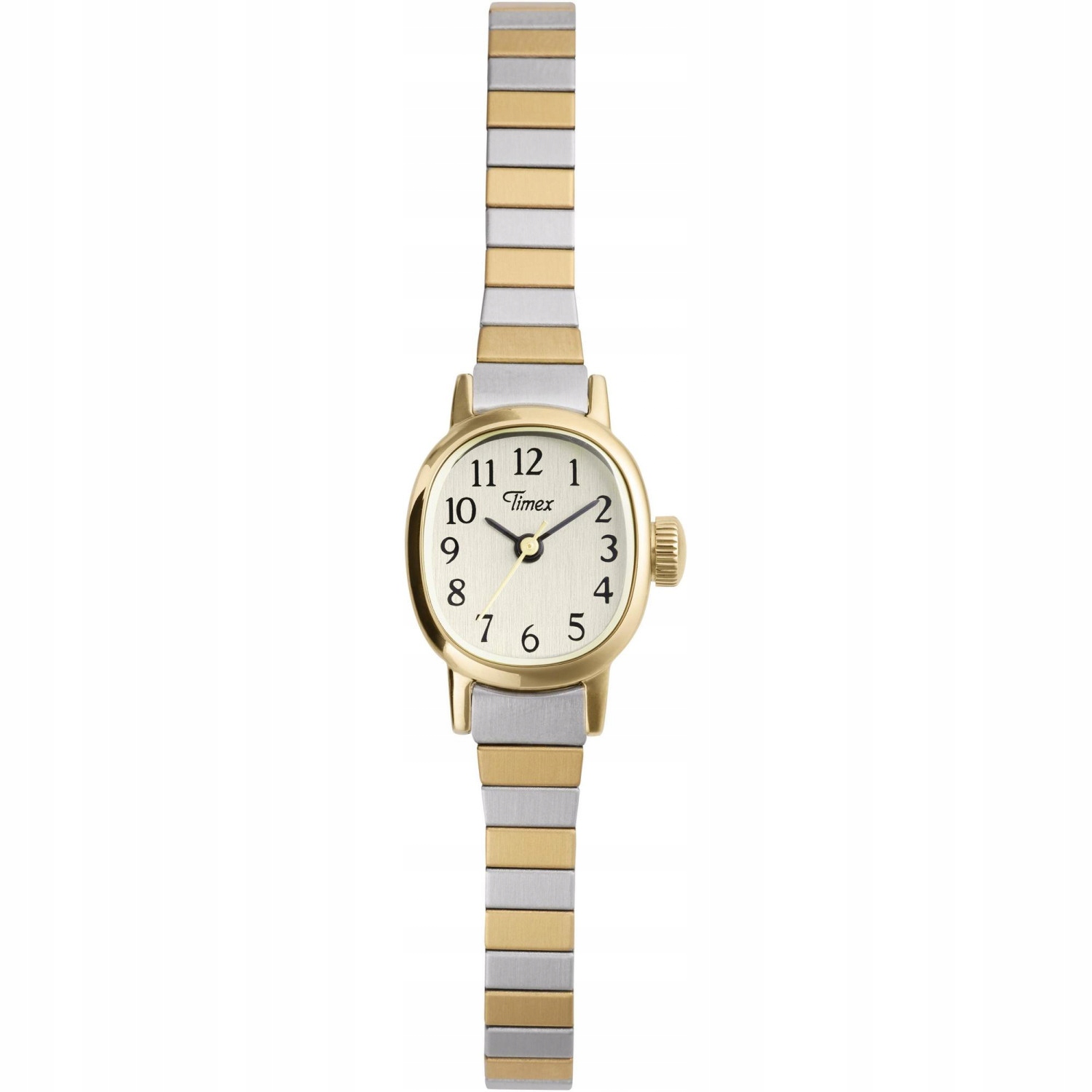 Dámské hodinky Timex TW2Y66900 stříbrné