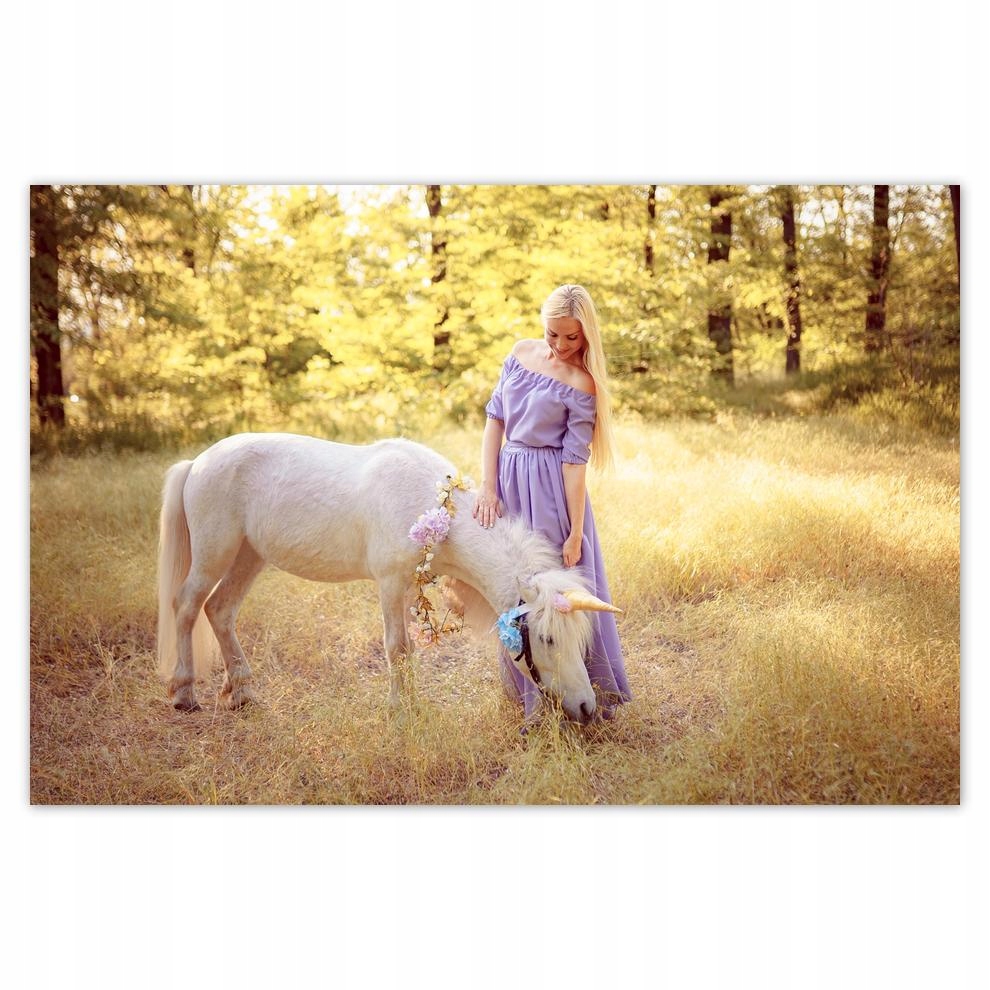 

Plakat 93x62 Jednorożec Magia Magiczny