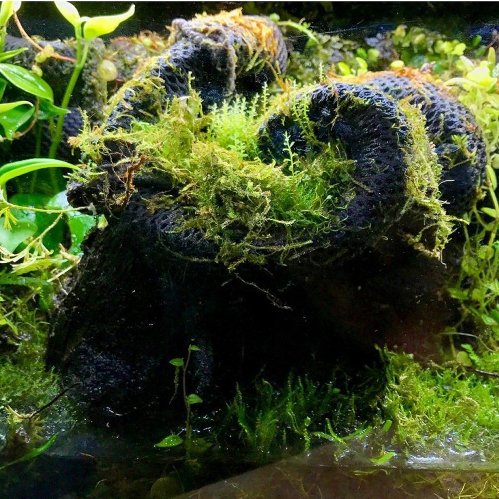 

Hydrolon M żywa ścianka tło Terrarium Paludarium