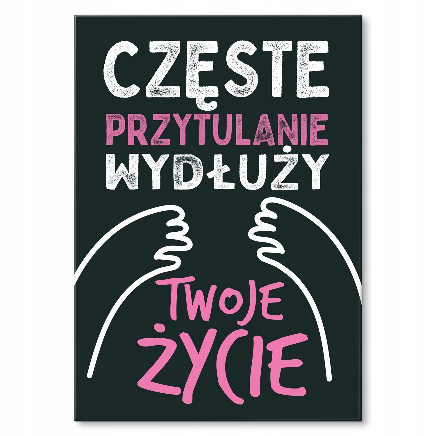 Kovový plakát Časté mazlení Dárek 30 x 42 cm