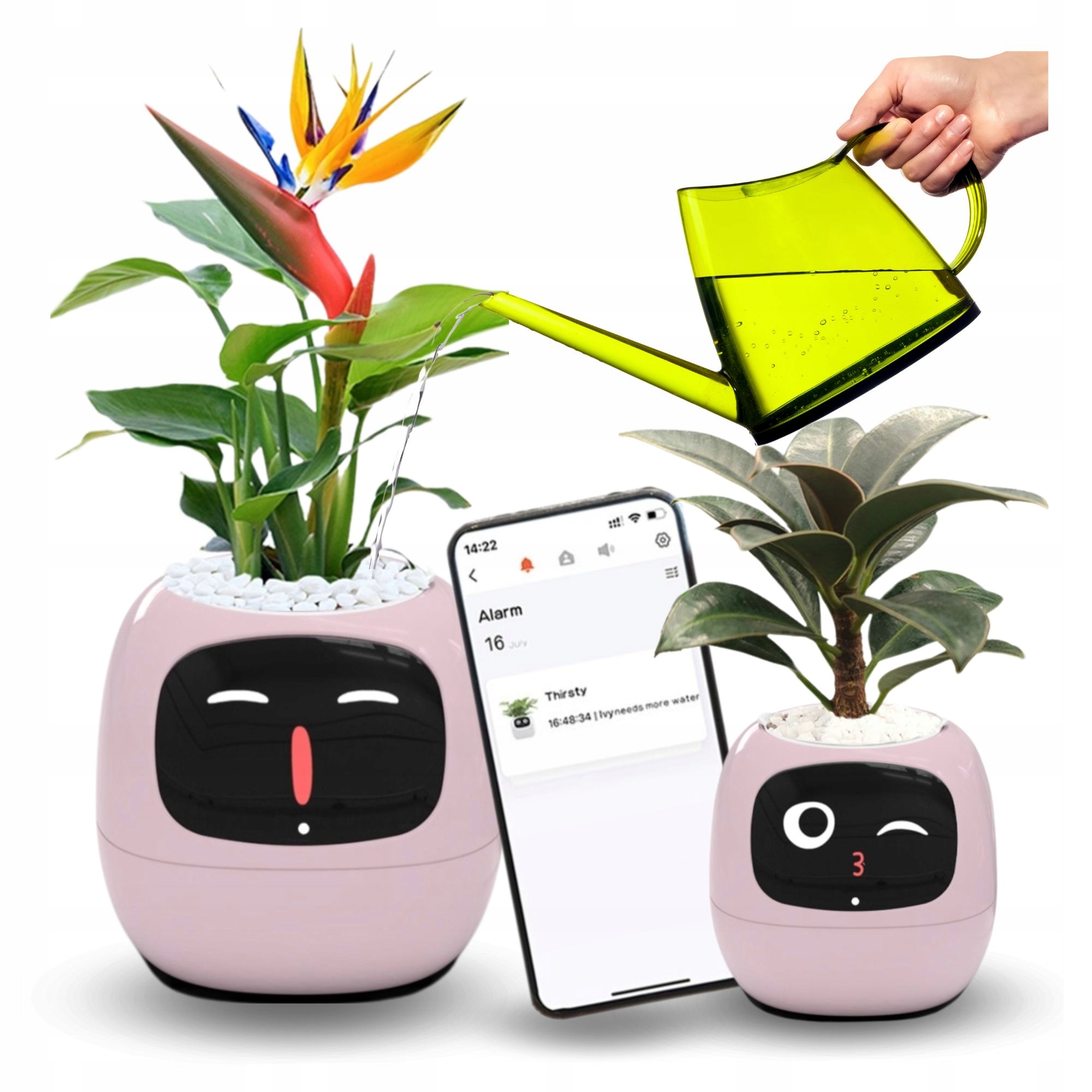 Inteligentný kvetináč Ivy Smart Planter obal na kvetináč na kvetináč Plantsio Róžová
