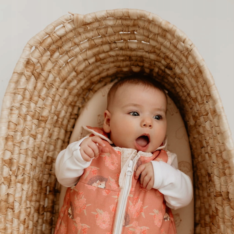 Śpiworek NewBorn Vintage Animals Amaranth - Sleepee Grubość w skali TOG 2.5 TOG