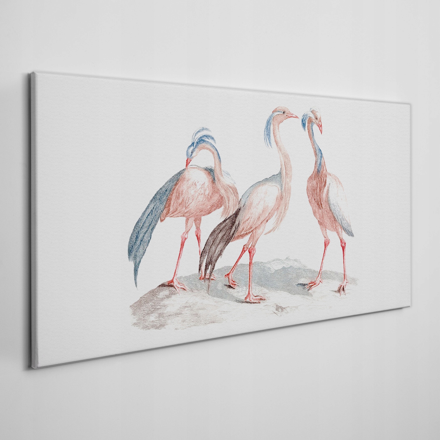 

Ścienny fotoobraz na płótnie Zwierzę ptak 120x60