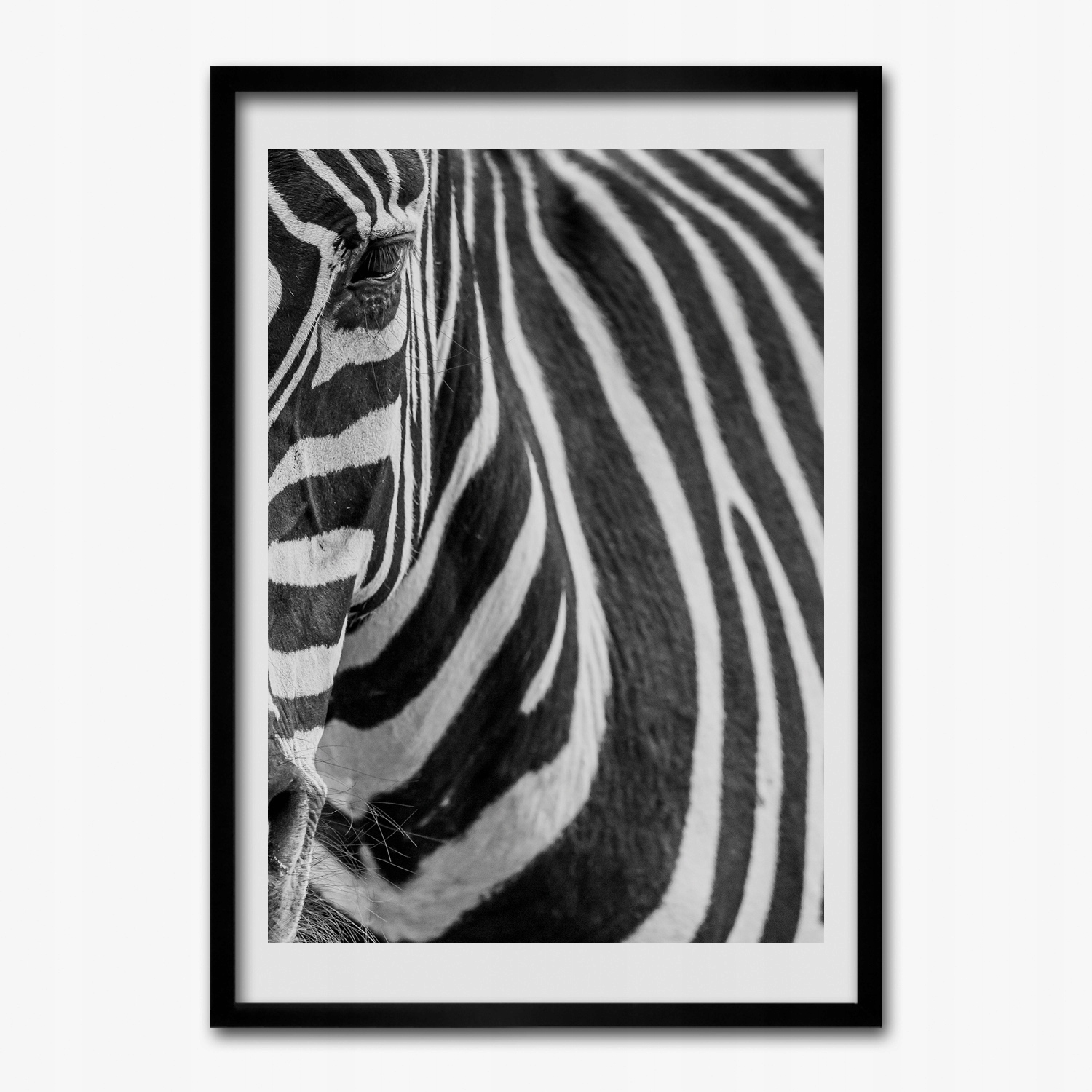 

Fotoobraz w ramie na ścianę Zebra pasy 70x100 cm
