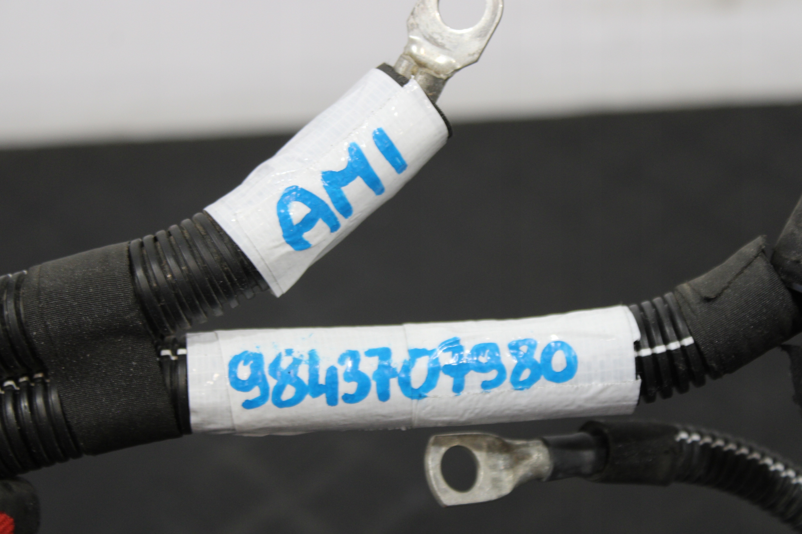 Câblage Électrique 9843707980 CITROEN AMI