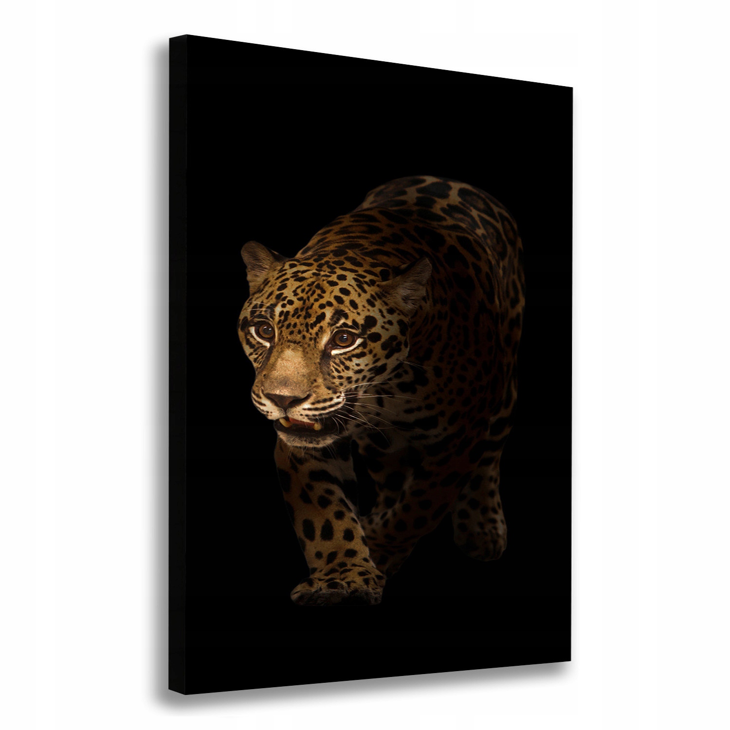 

Nowoczesny fotoobraz canvas na ramie Jaguar 70x100