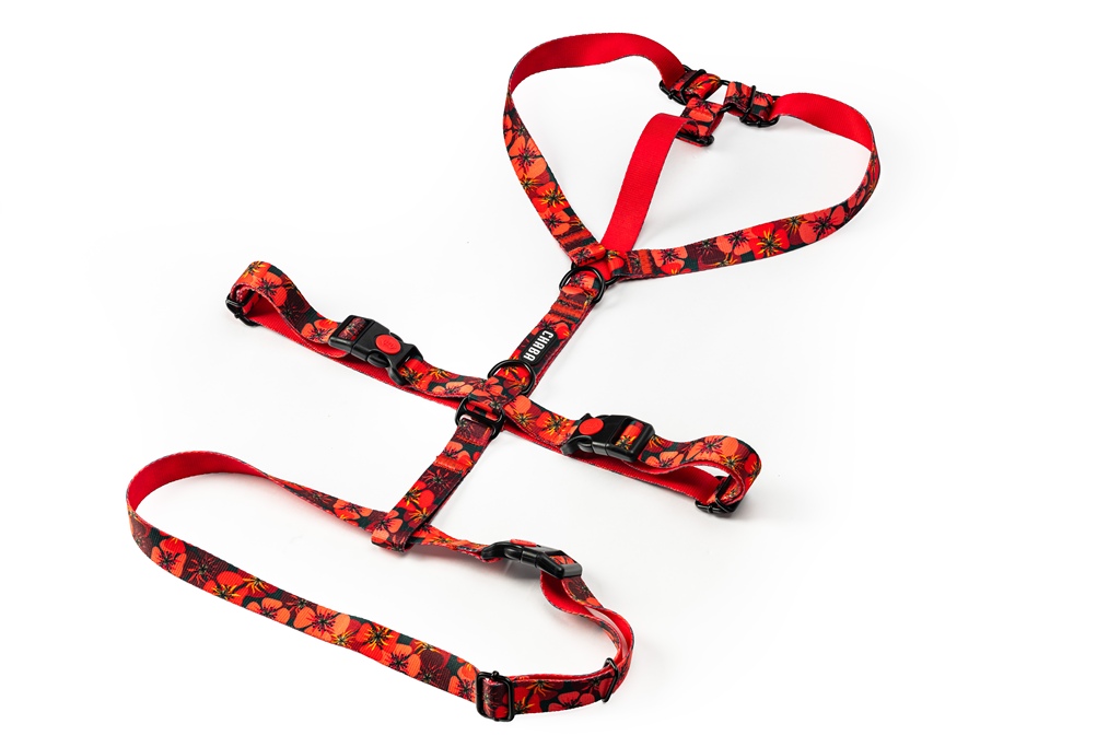 Postroj pro psa Guard Proti úniku No Absorb Beztlakový Safe Lock Lehký