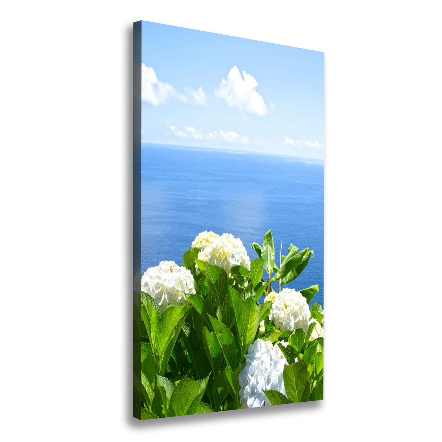 

Foto obraz na płótnie Hortensja morze 50x100 cm