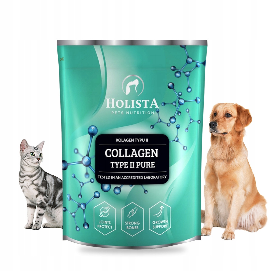 Holista Collagen Type II Pure Kolagen dla Psa Kota Odbudowa Chrząstki 600g