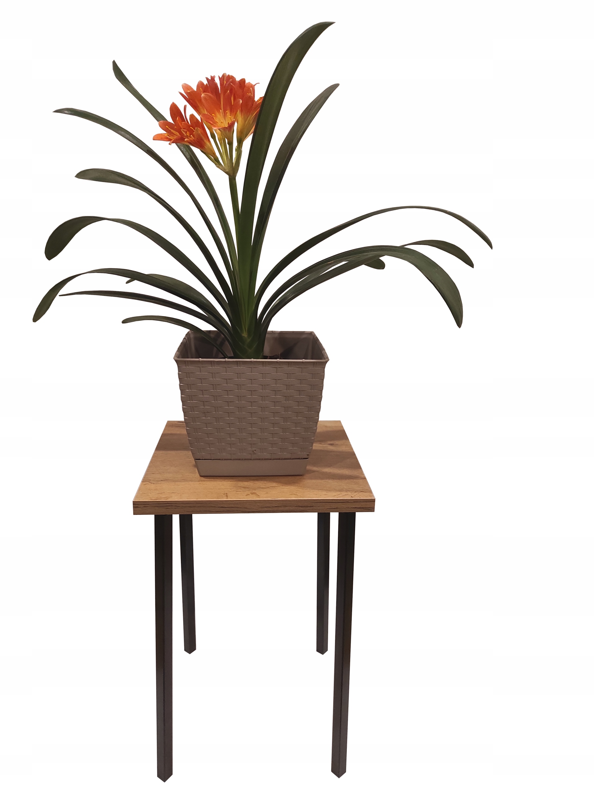 Kwietnik z epoki, stojak, podstawka, metalowy Długość 29 cm