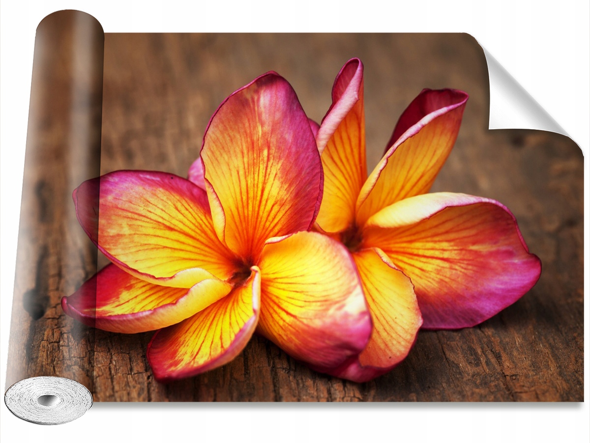 

Tapeta Samoprzylepna Plumeria Drewno 312x219