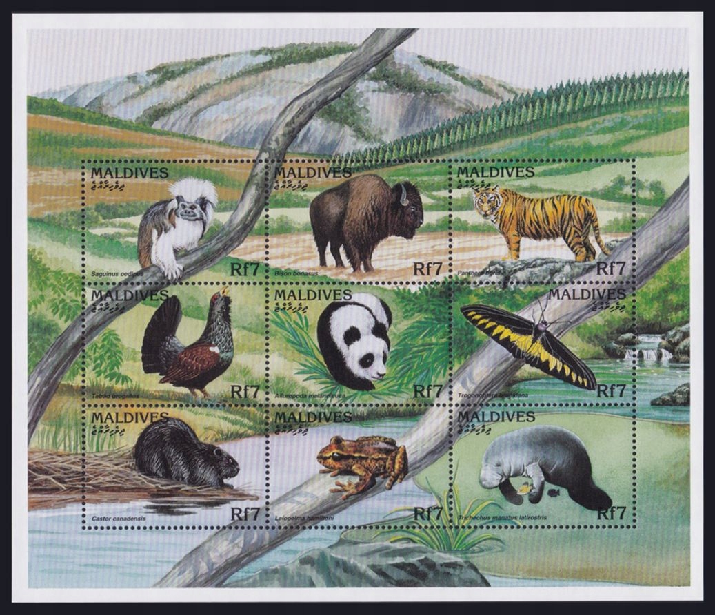 MALDIVES - PTAKI - FAUNA - 1996 r. - MNH(**)