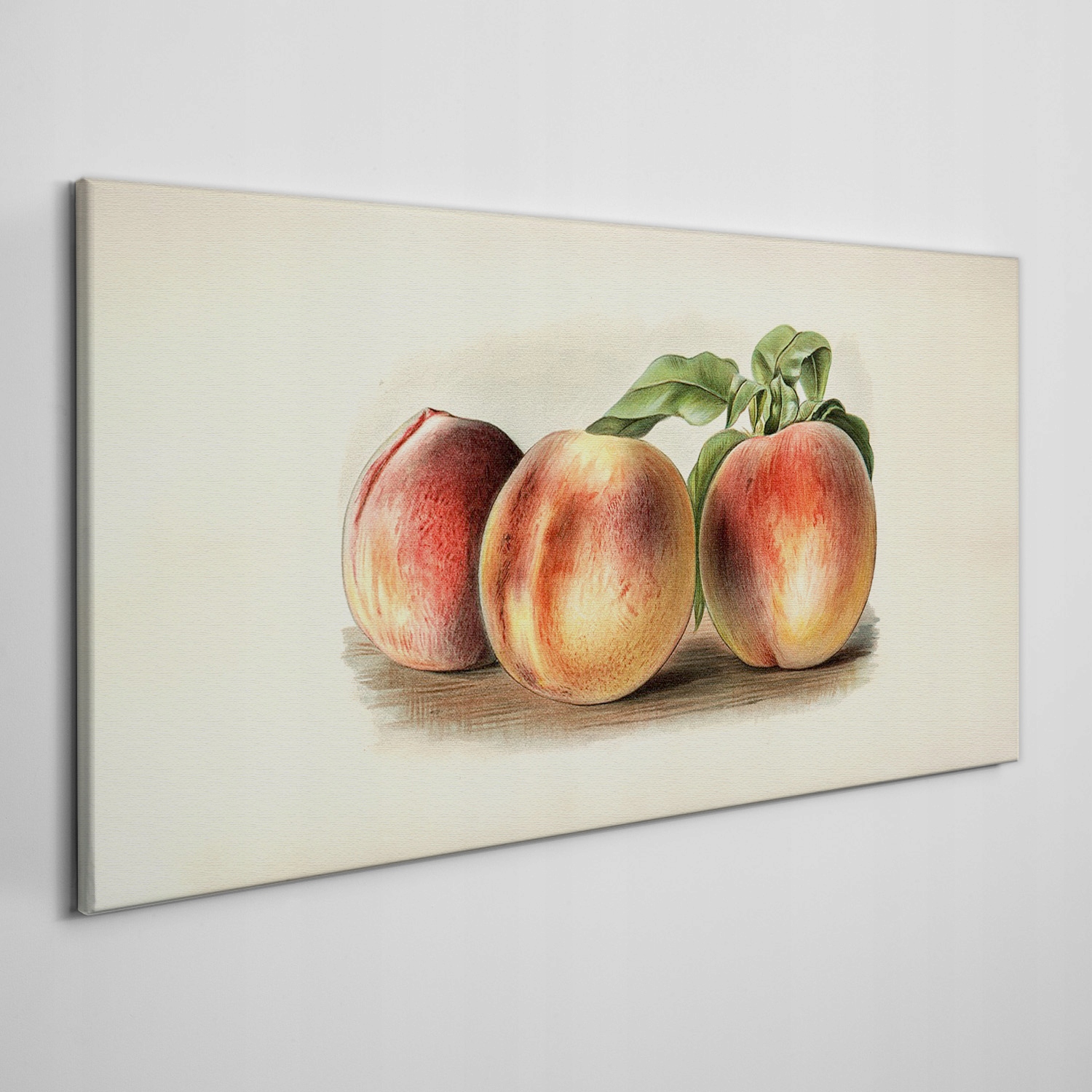 

Obraz na płótnie Owoce brzoskwinia liście 120x60