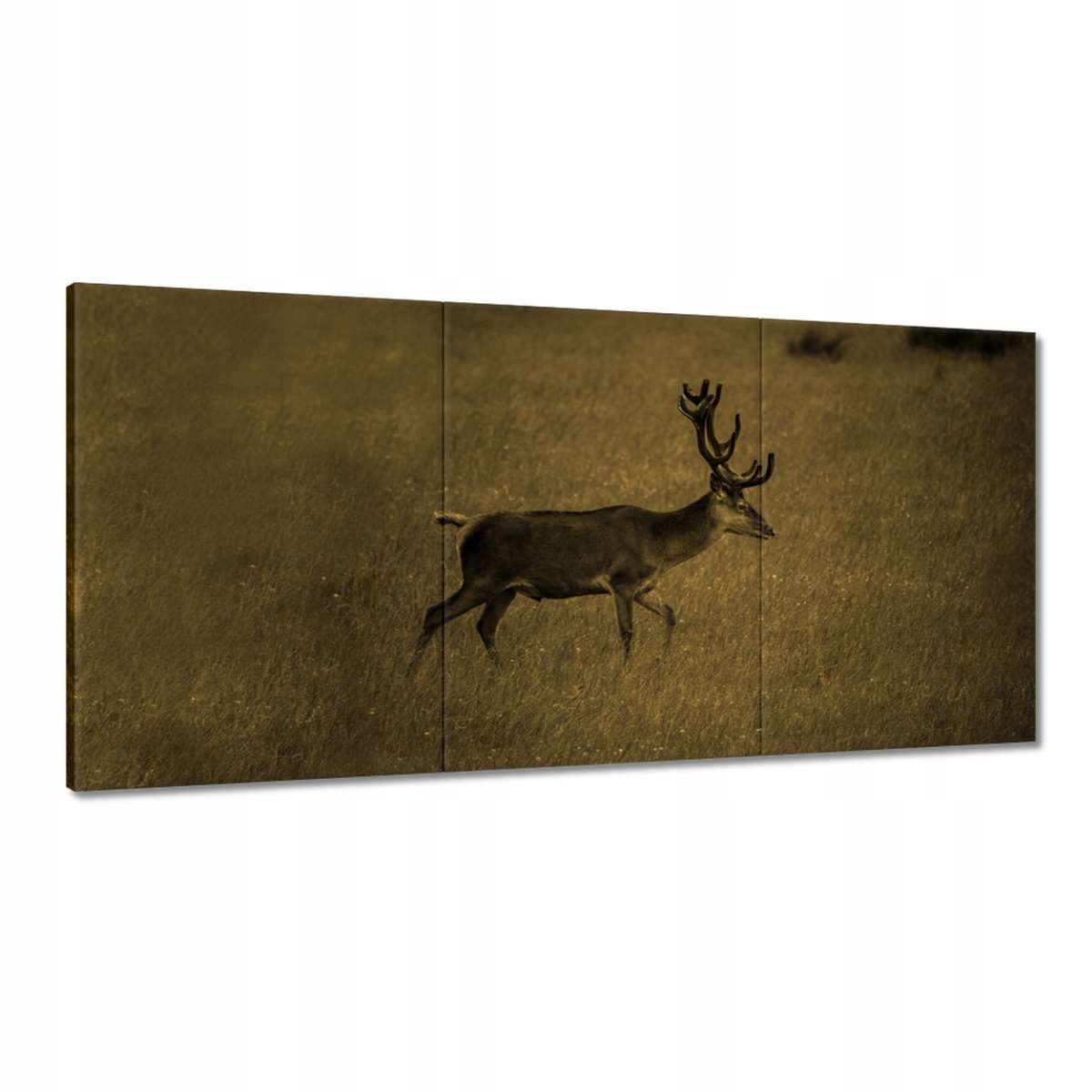 Obrazy 180x90 Jeleň