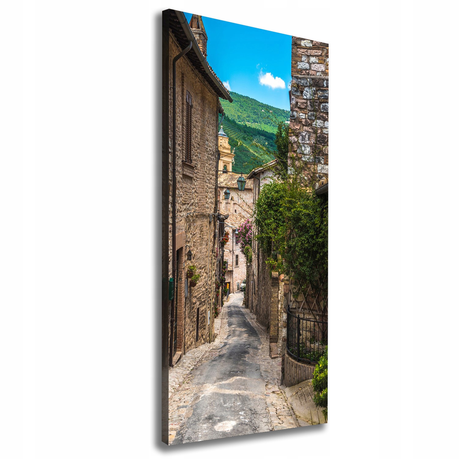 

Foto obraz na płótnie Urokliwa uliczka 50x125 cm