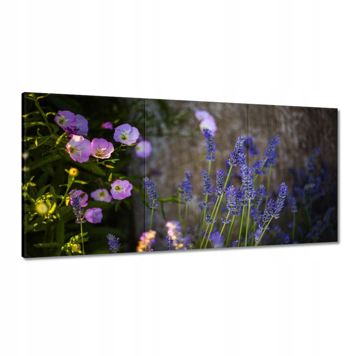 Obrazy 180x90 Levanduľa