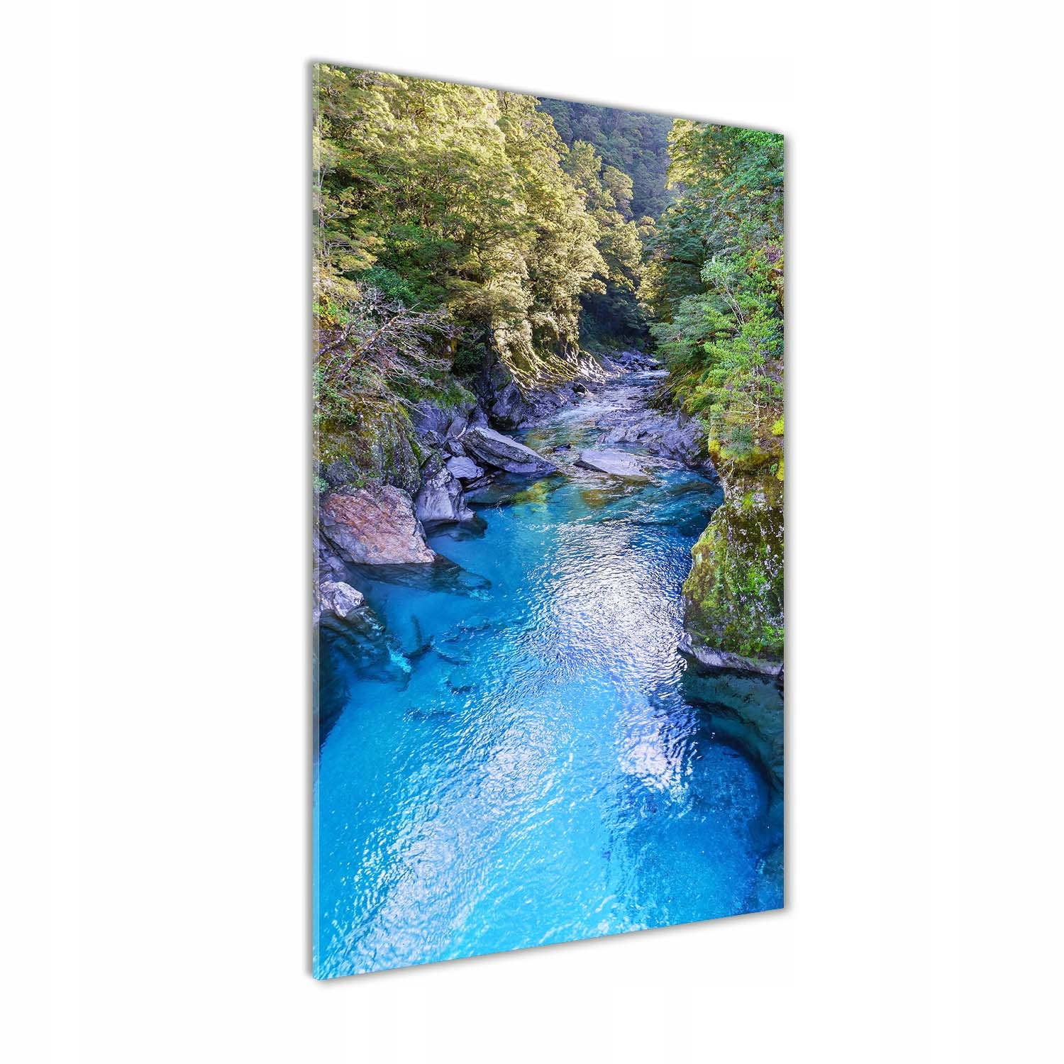 

Foto obraz szkło hartowane Rzeka w lesie 50x100 cm