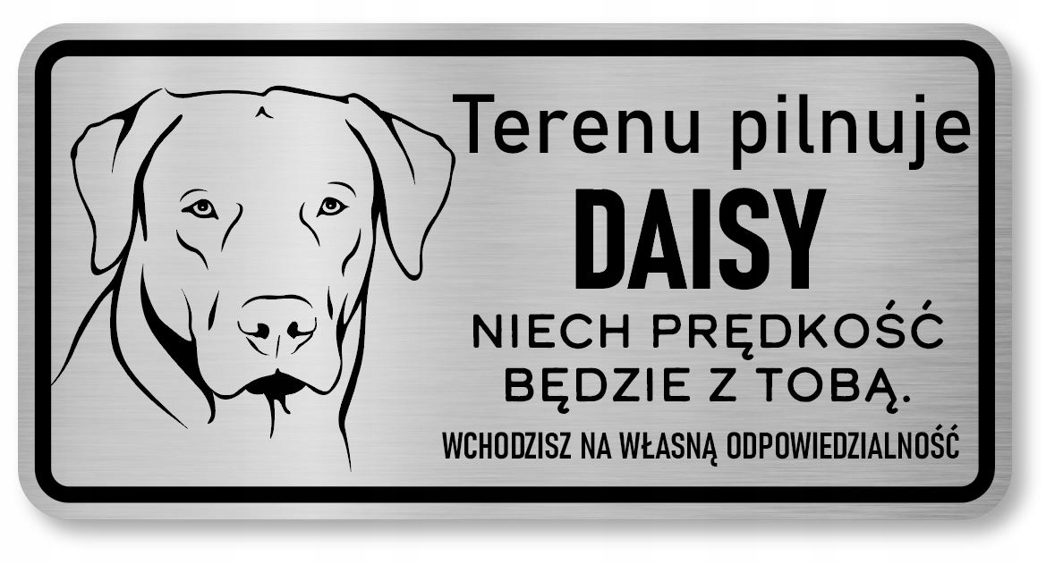 

Tabliczka Uwaga Pies Labrador
