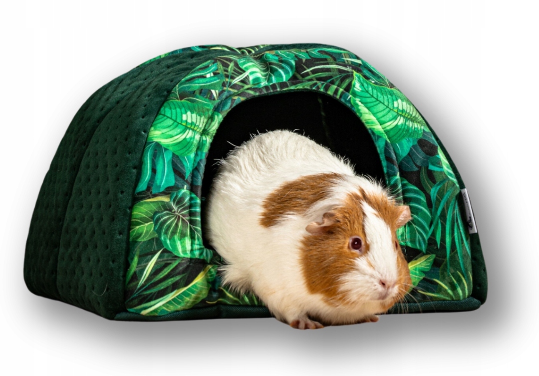 Kraina Tuptusia – domeček pro morčata