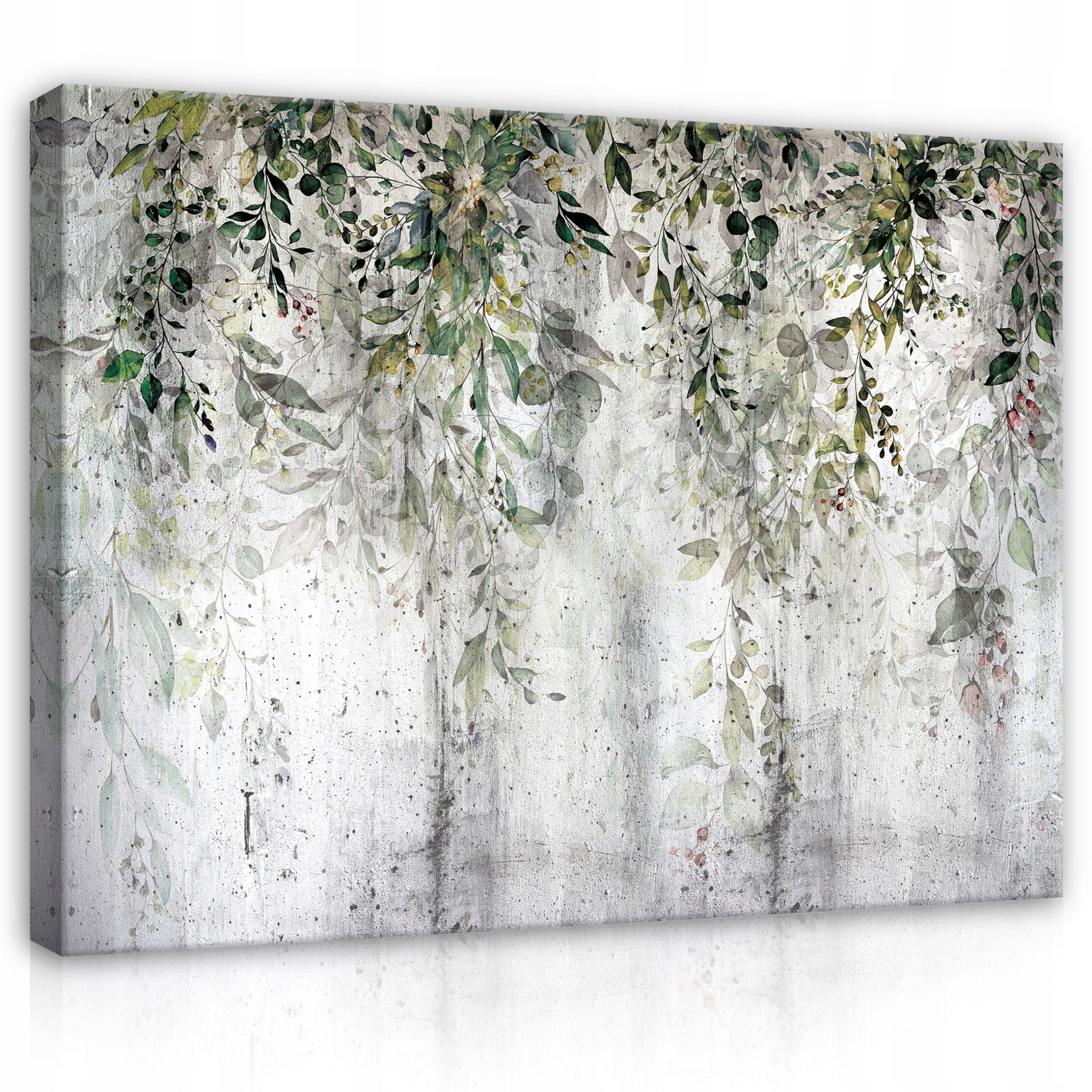 Obraz 80x60 Botanika listy zeleň příroda beton textura minimalismus