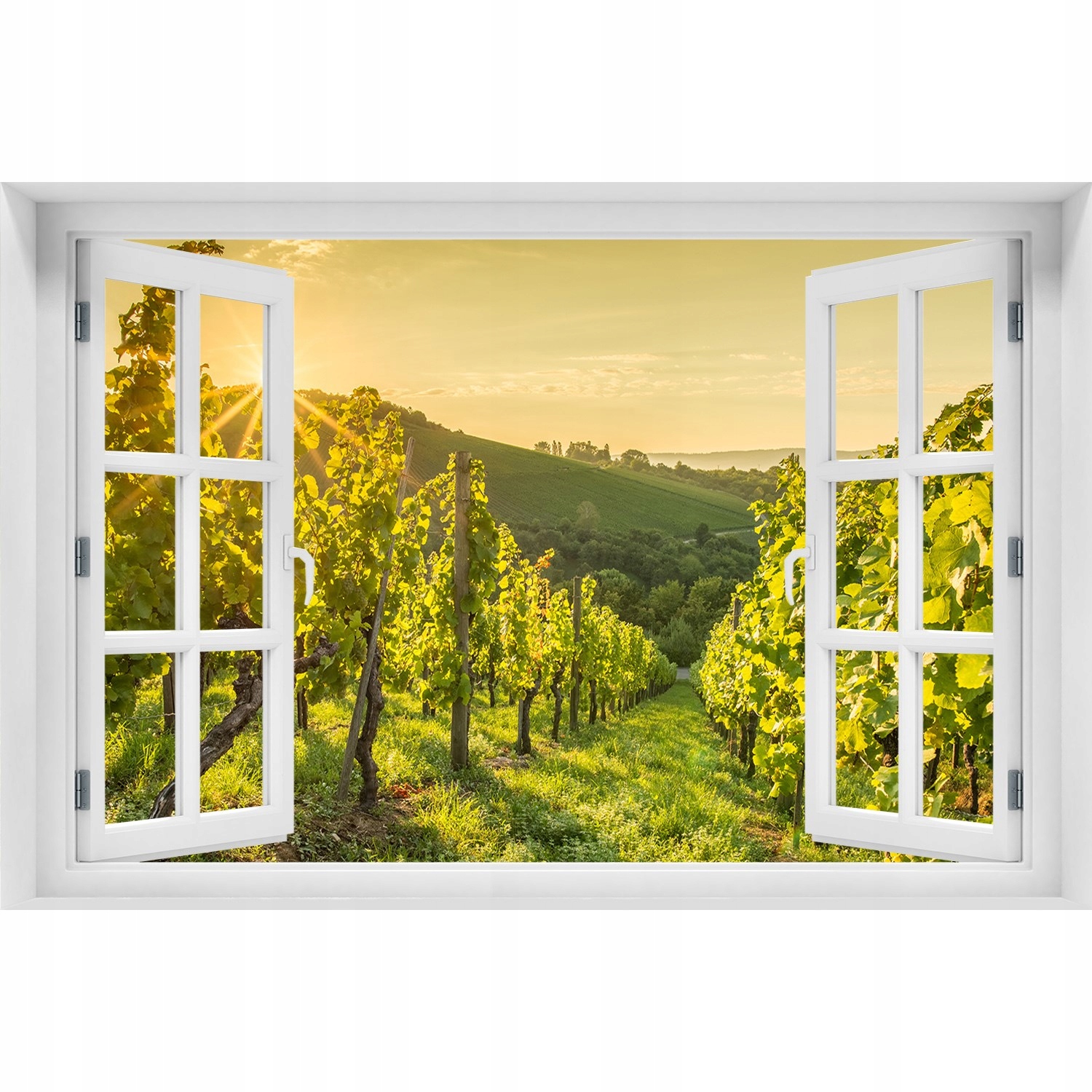 

Naklejka ścienna fototapeta Okno Winnica 150x100