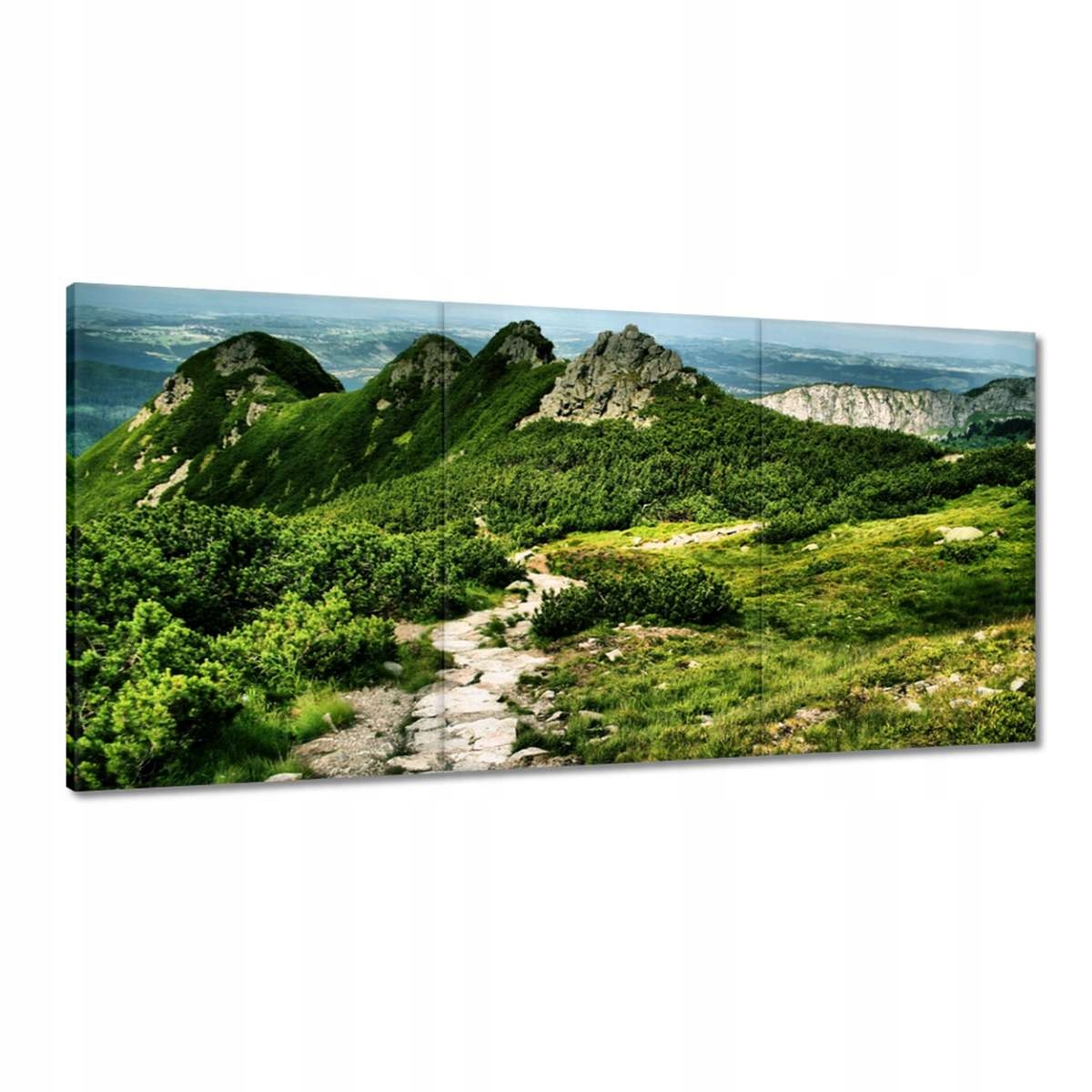 Obrazy 120x60 Polské Tatry Hory