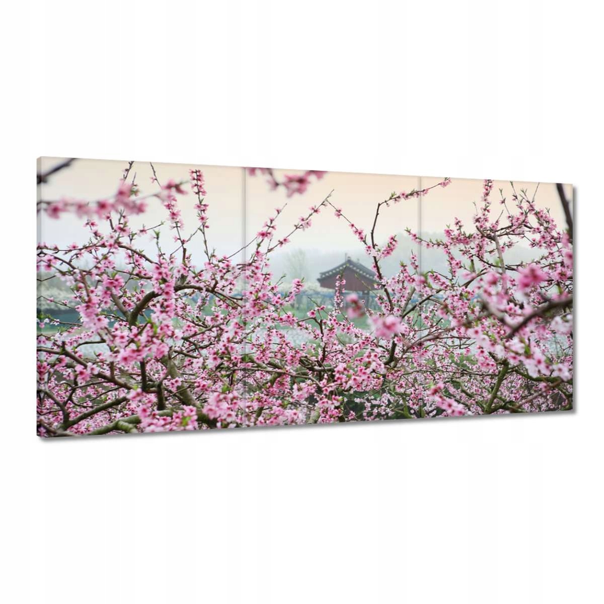 Obrazy 180x90 Japonsko Orient Buddhismus