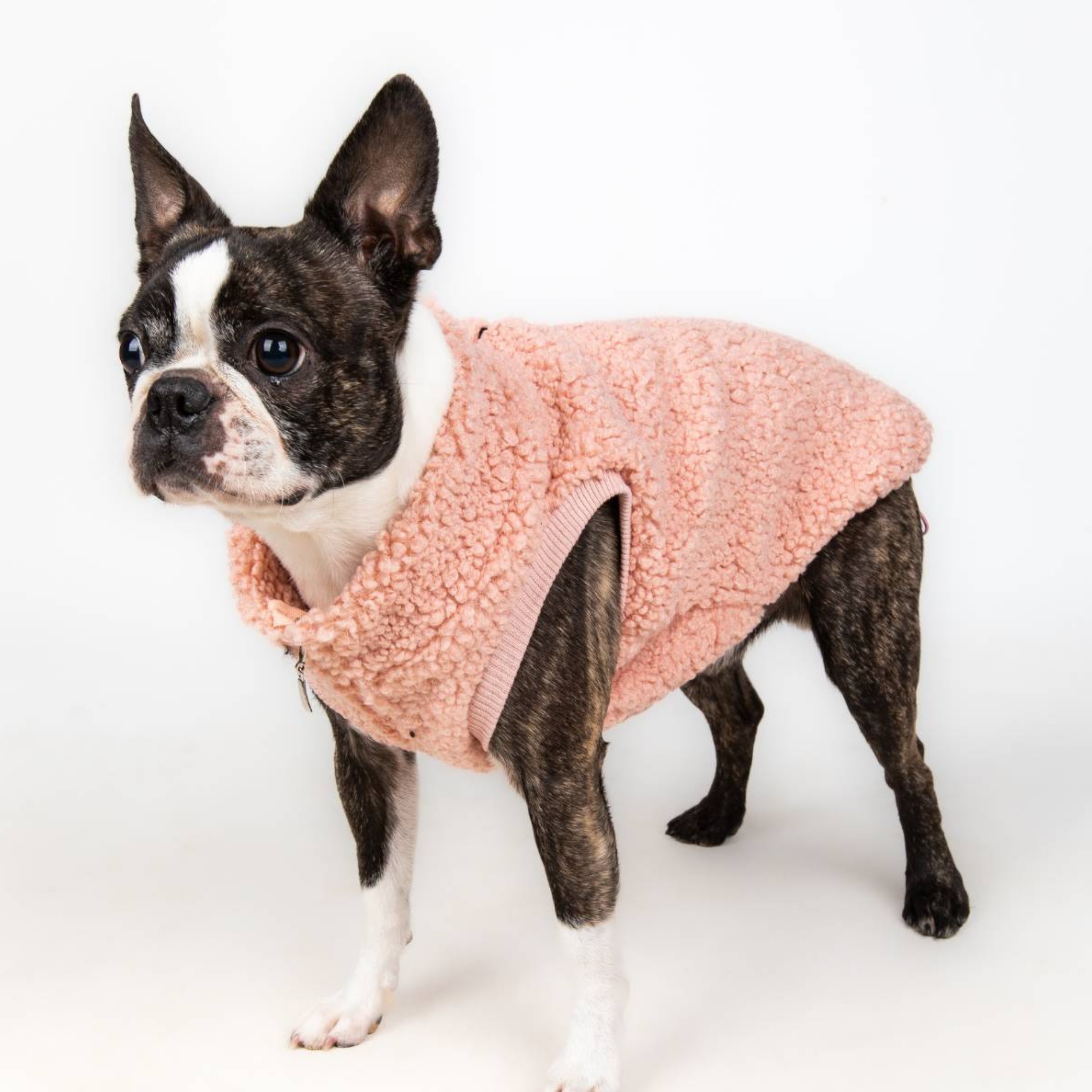 Levně Polar Pro Psa Oblečení Teplá Vesta Zip Shih Tzu M