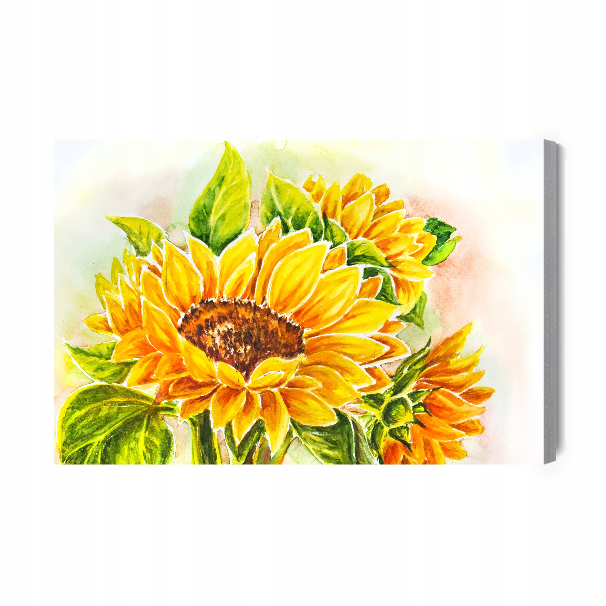 Obraz Na Plátně Slunečnicové květy malované akvarelem Canvas 100x70