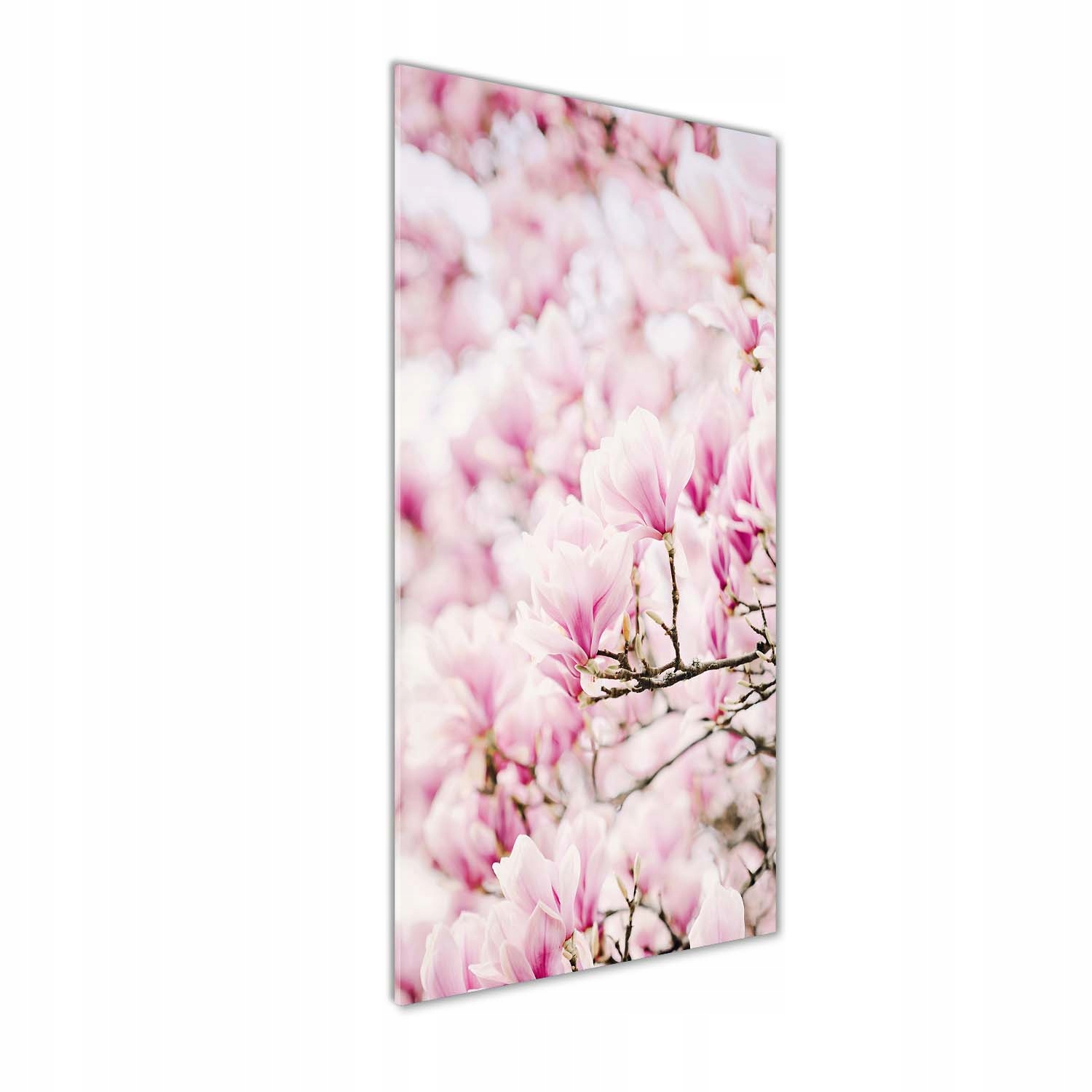 

Foto obraz na szkle pionowy Kwiaty magnolii 50x125